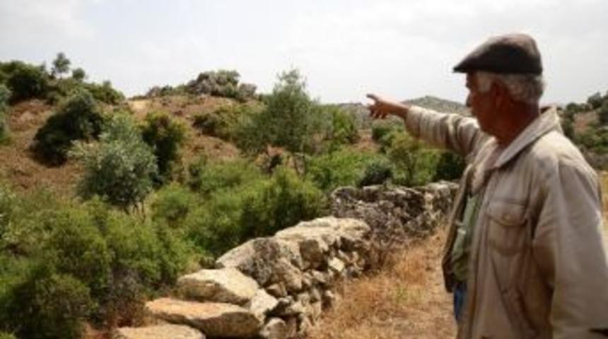 Beşparmak Dağları'ndaki &Ccedil;evre Sorunları Yerinde İncelendi