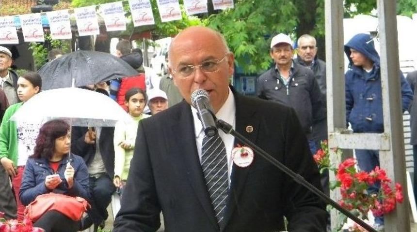 Yarım Asırlık 'tekirdağ Kiraz Festivali' Coşkuyla Başladı