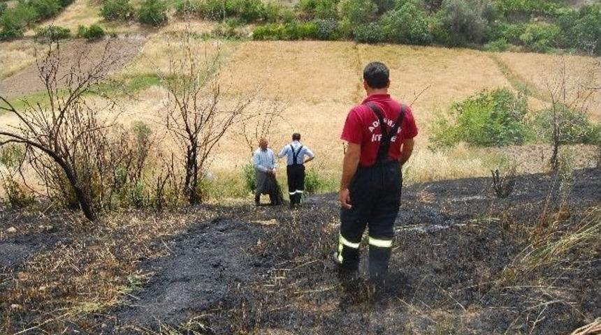 Otları Yakmak İsterken, Ekinleri K&uuml;le &Ccedil;eviriyordu
