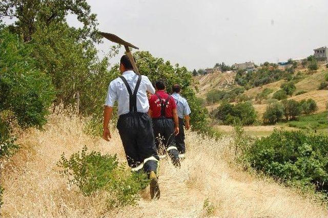 Otları Yakmak İsterken, Ekinleri Küle Çeviriyordu