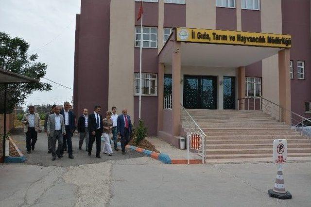 Kilis Belediyesi’ne Yeni Hizmet Binası