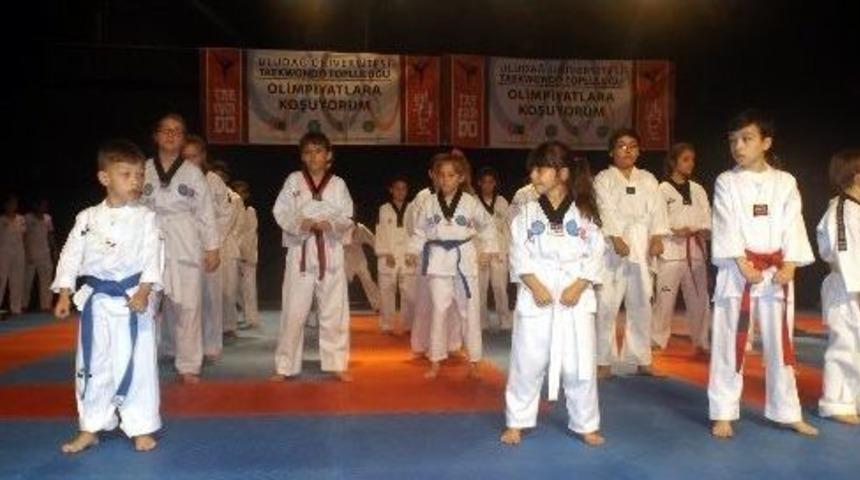 Minik Tekvandocular Olimpiyatlara Koşuyor