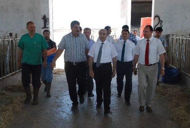 Vali Demirtaş Kahta da İncelemelerde Bulundu 1