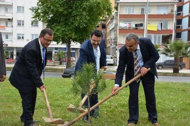 Yeni Doğan Bebekler İçin Fidan Dikildi