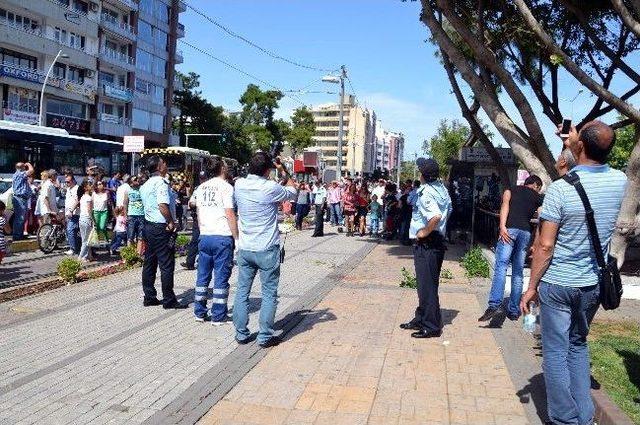 Ağa&ccedil;ta Paralı İntihar Şov 3