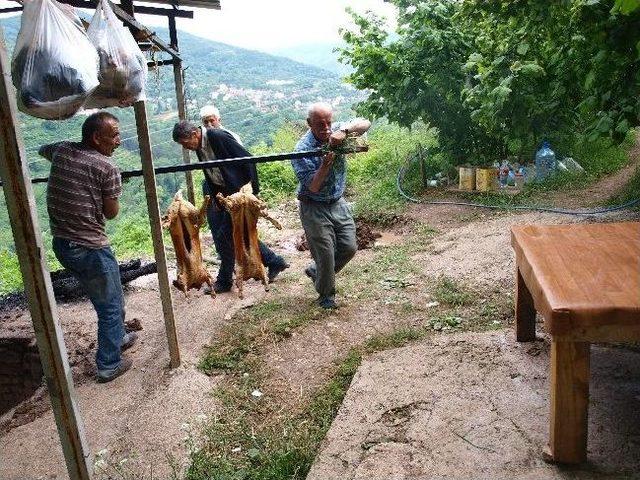 Cide'de Kuyu Kebabı Sezonu Açıldı