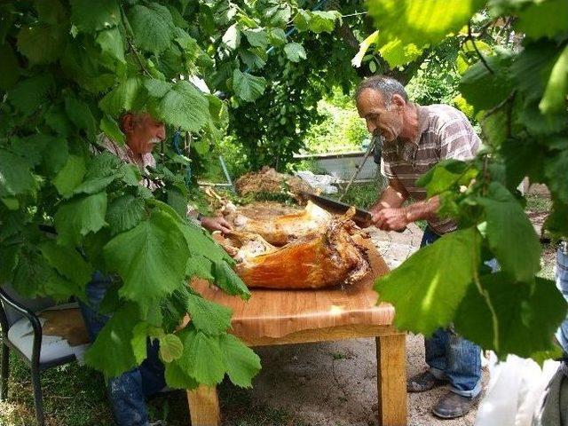 Cide'de Kuyu Kebabı Sezonu Açıldı