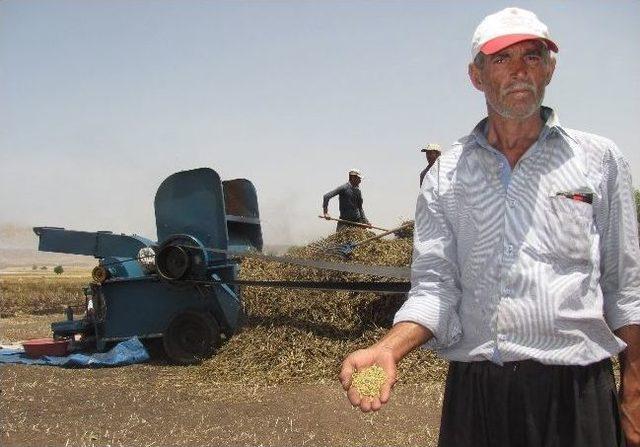 Frik &Uuml;reticilerinin Y&uuml;z&uuml; G&uuml;ld&uuml; 1