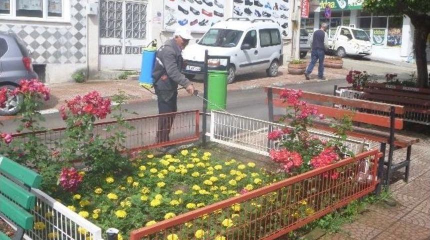 Belediyeden &Ccedil;i&ccedil;eklere Yaz İla&ccedil;laması