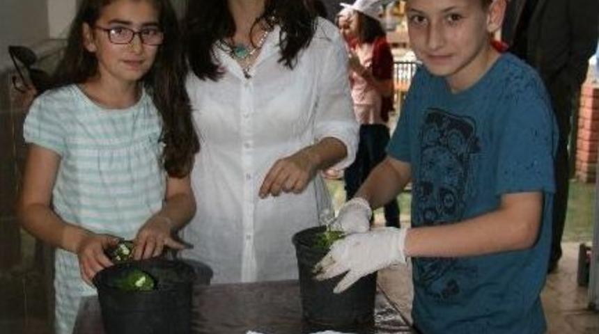Bilgi Evinde &Ccedil;evre G&uuml;n&uuml; Etkinliği D&uuml;zenlendi