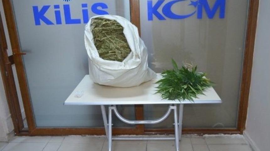 Kilis&rsquo;te G&uuml;mr&uuml;k Ka&ccedil;ağı Emtia Operasyonu