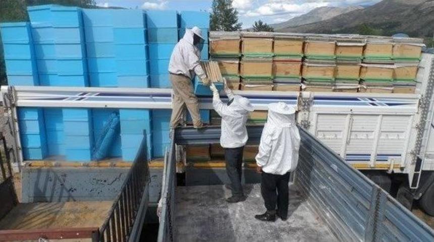 İspir’de 220 Adet Kafkas Arısı Kovanı Hak Sahiplerine Dağıtıldı
