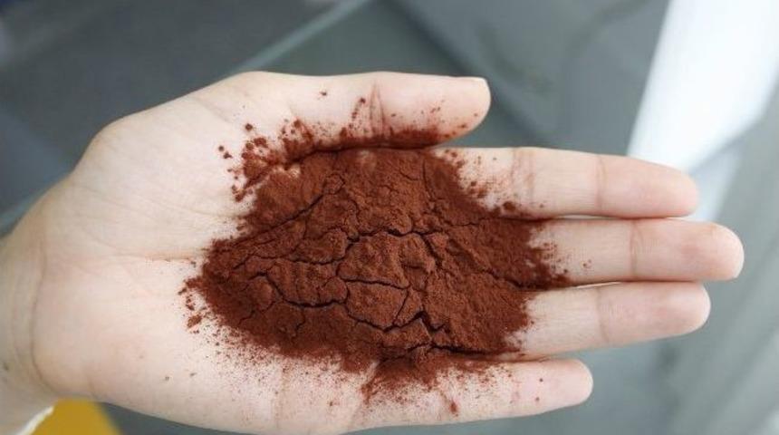 Lezzetli Şifa Kaynağı