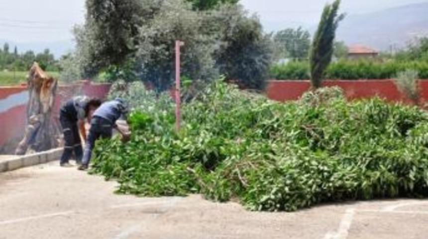 &Ouml;demiş&rsquo;te Fırtına Ağa&ccedil;ları Devirdi