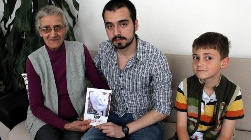 Oral Ailesi '&ccedil;apul' İ&ccedil;in Seferber Oldu