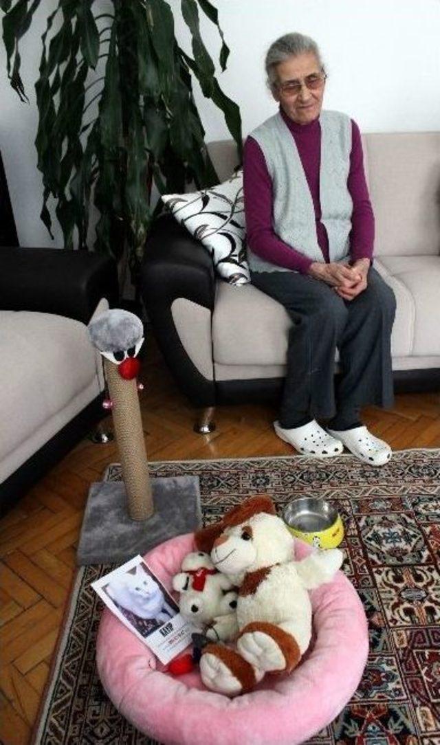 Oral Ailesi  &ccedil;apul  İ&ccedil;in Seferber Oldu 2