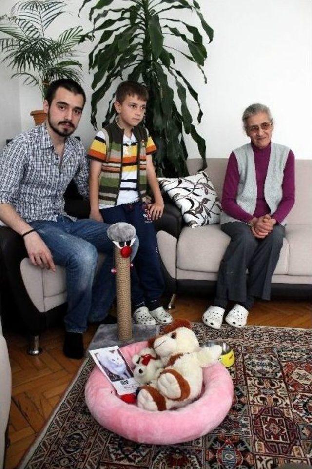 Oral Ailesi  &ccedil;apul  İ&ccedil;in Seferber Oldu 3