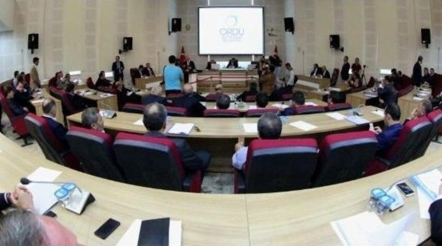 Ordu'da Çevre Çalıştayı