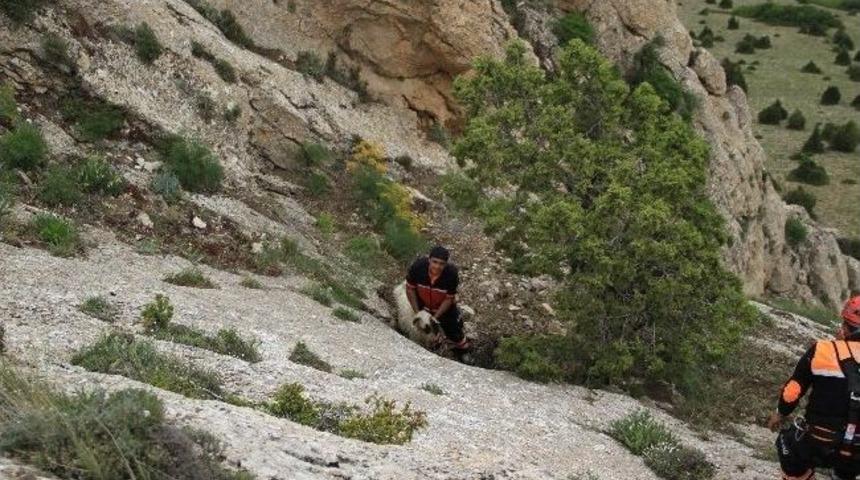 U&ccedil;urumda Mahsur Kalan 2 Koyuna 8 Kişilik Kurtarma