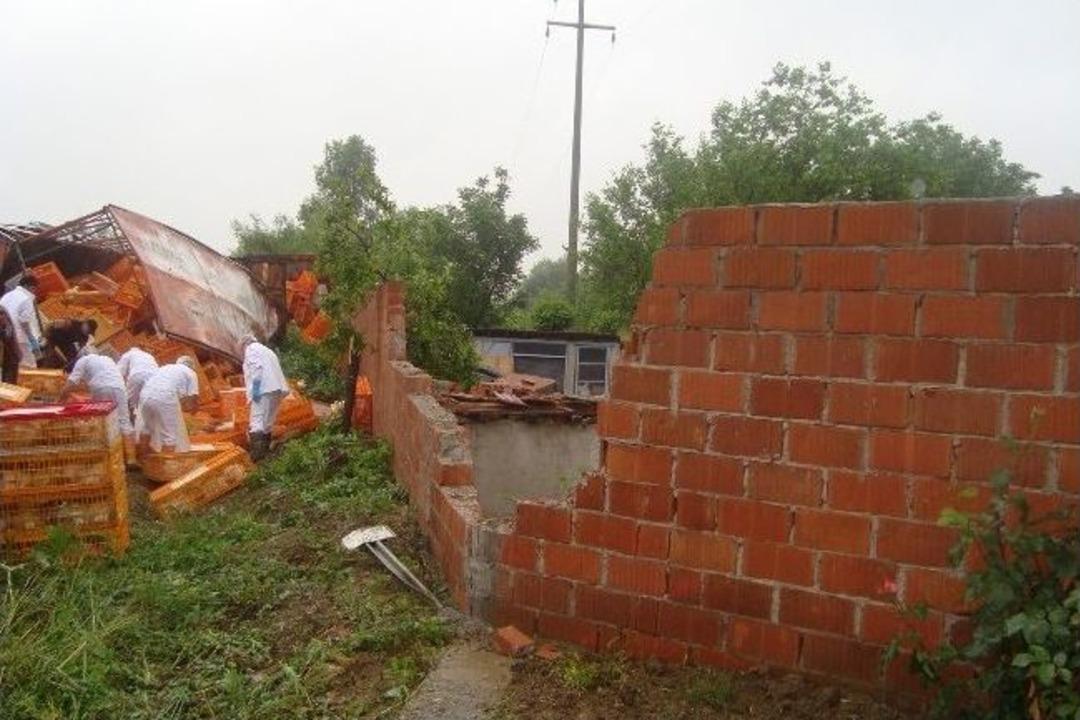 Tavukların Can Pazarı