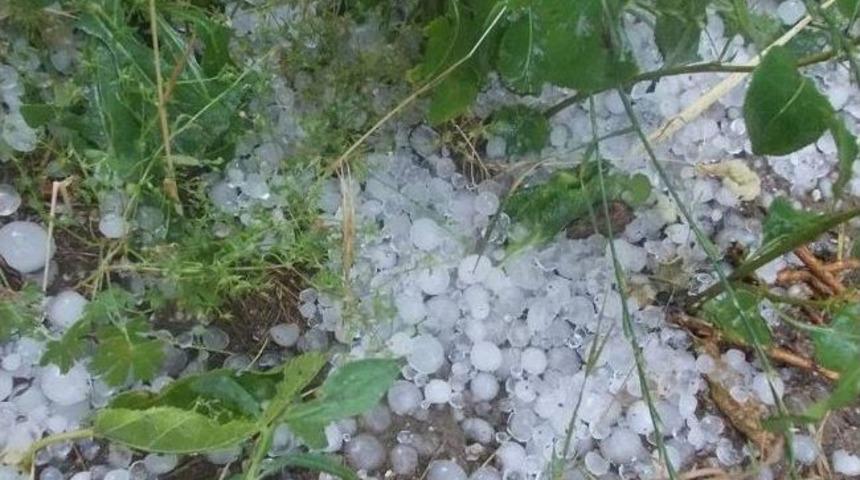 Sincik&rsquo;te Dolu Yağışı