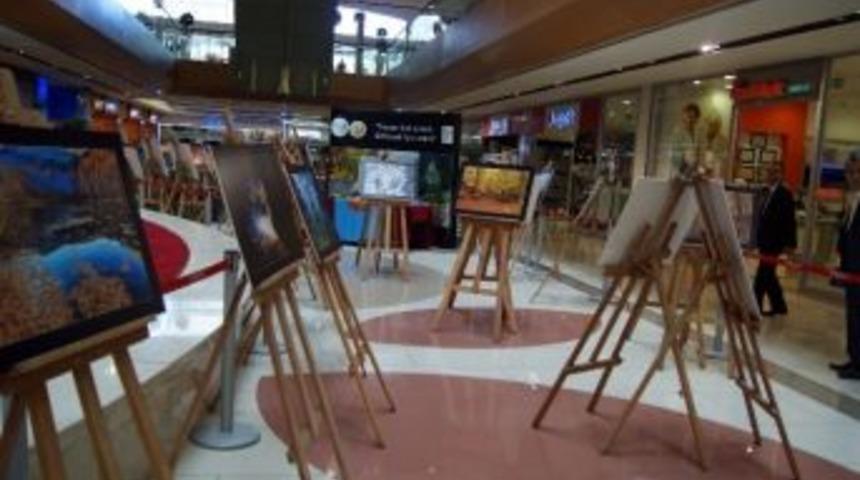 Varlıbaş Avm&rsquo;de &lsquo;k&ouml;klerinde Hayat Var&rsquo; Fotoğraf Sergisi