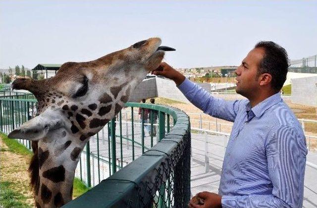 (özel Haber) Harikalar Diyarı'nı Doğum Heyecanı Sardı