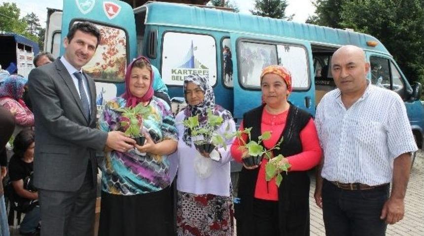 Kartepe Ekok&ouml;y&rsquo;de Fide Dağıtımı