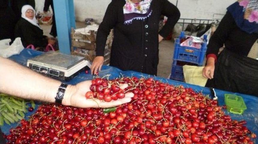 Osmanelide Sağanak Yağış