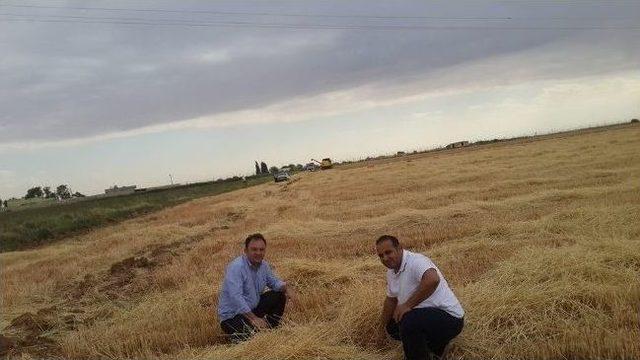 Harran İlçesinde Biçerdöver Kontrolleri Sürüyor