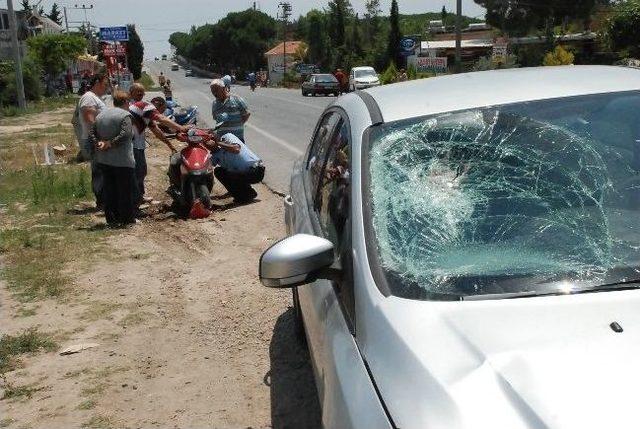 Didim-söke Yolunda Kaza; 1 Yaralı