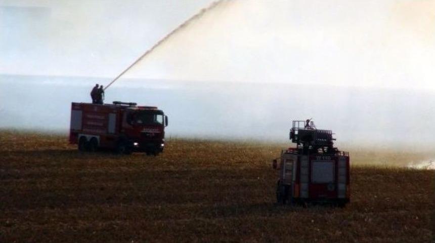 Batman&rsquo;da 10 D&ouml;n&uuml;m Arazi K&uuml;l Oldu