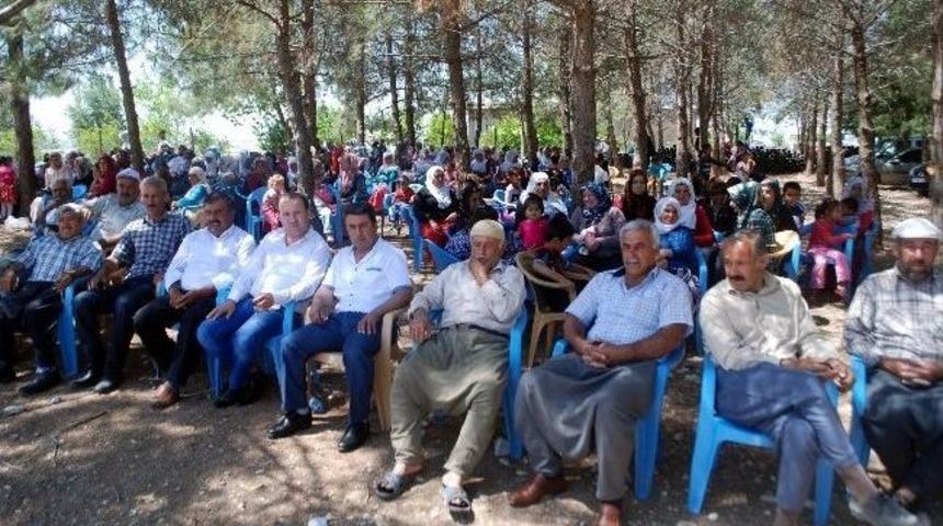 &Ccedil;emberlitaşlılar Piknikte Buluştu