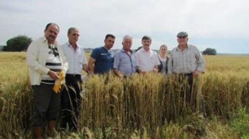 &Ccedil;anakkale&rsquo;de S&uuml;ne İle M&uuml;cadele &Ccedil;alışmaları