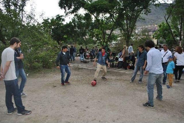 Amasya’daki Ağaç Eylemi Sona Erdi