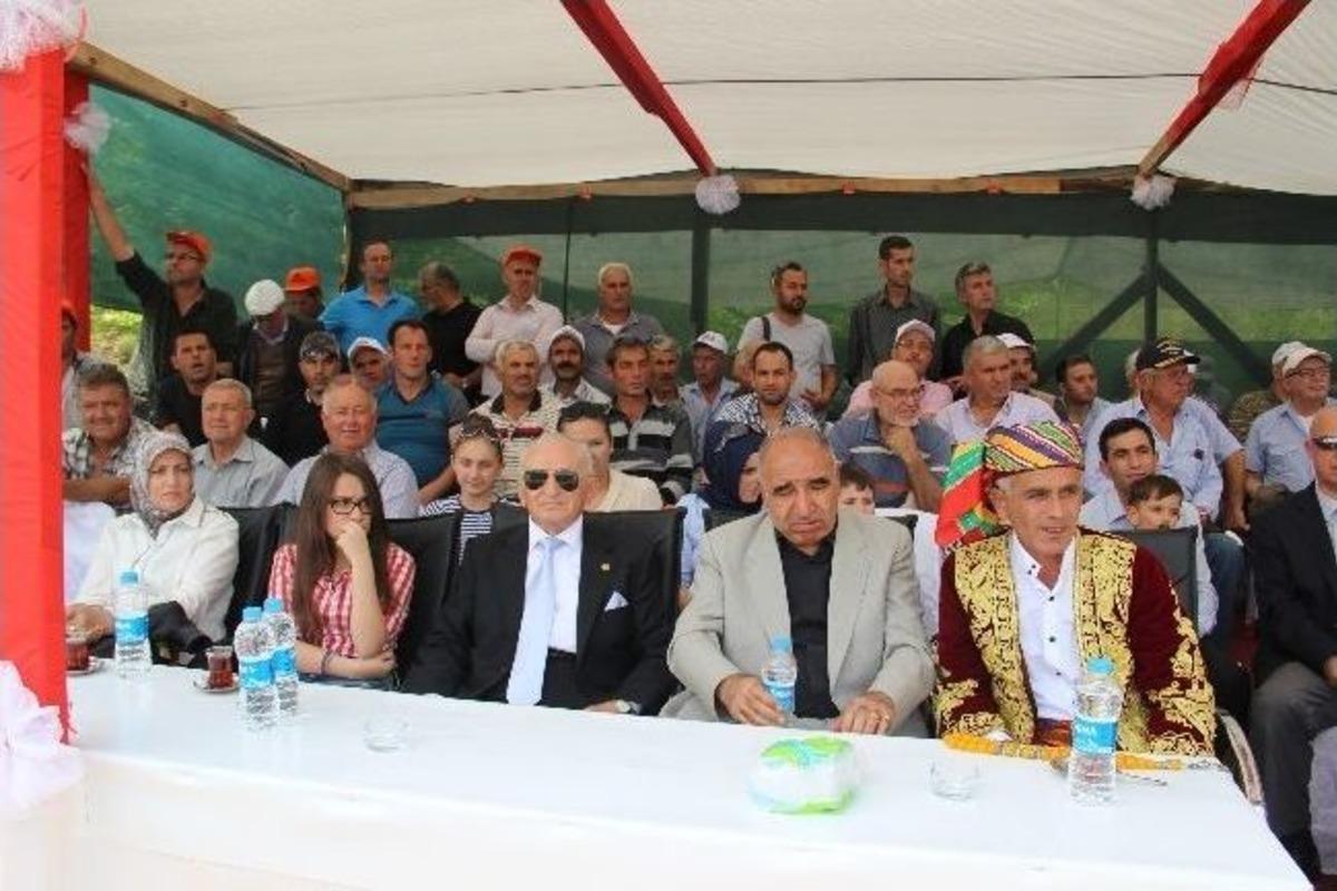 &Ccedil;an Belediyesi 3. Yağlı G&uuml;reşleri'nde Başpehlivan Osman Aynur Oldu