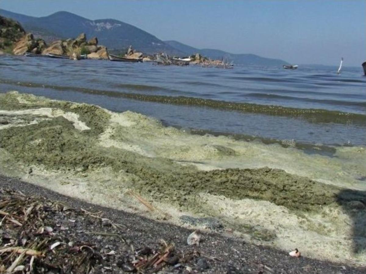 Bafa G&ouml;l&uuml;&rsquo;ndeki Kirlilik Masaya Yatırıldı