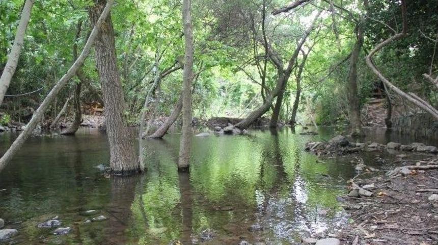 Dikili'nin Doğa Harikası Nebiler Şelalesi Tatilcileri Bekliyor