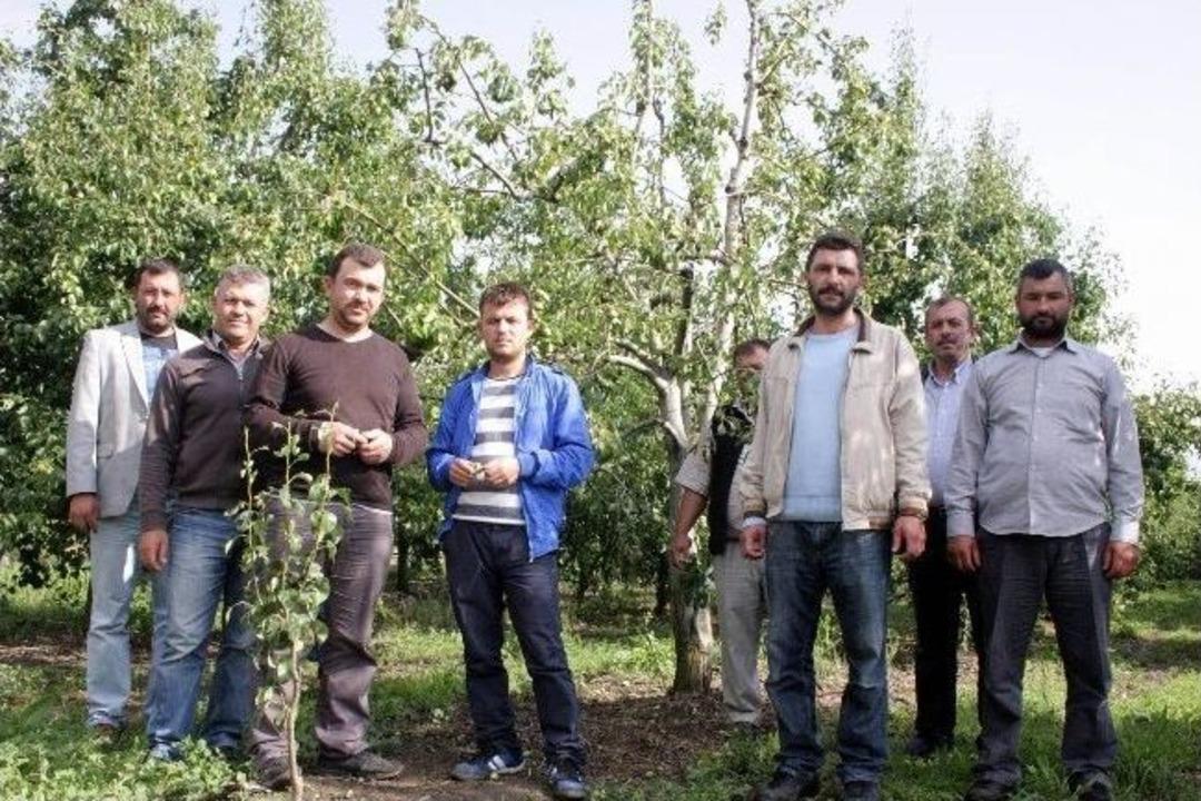 Bursa Ovasına Dolunun Zararı 40 Milyon Lira