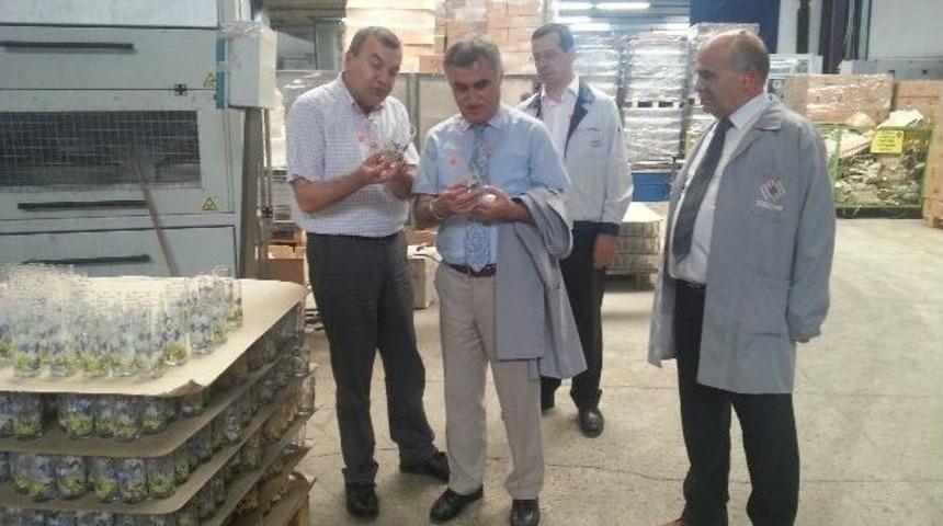 Sgk Kırklareli İl M&uuml;d&uuml;r&uuml; Halcı&rsquo;dan İşyerlerine Ziyaret