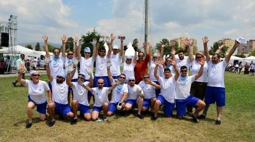 Dragon&rsquo;a Renk Kattılar