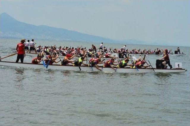 Dragon&rsquo;a Renk Kattılar 1