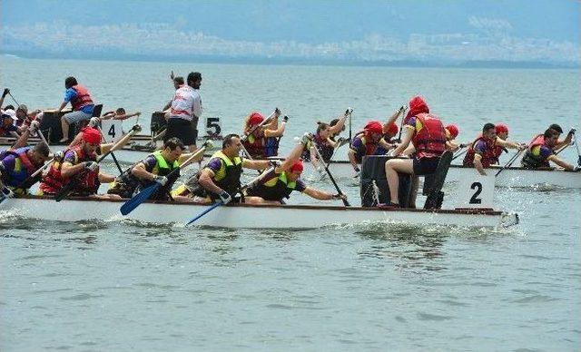 Dragon&rsquo;a Renk Kattılar 2