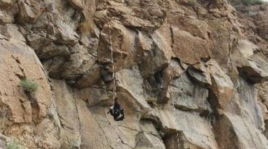 Kayalıklarda 5 G&uuml;n Mahsur Kalan Ke&ccedil;ileri Akut Kurtardı