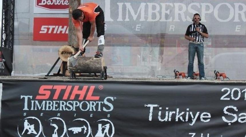 K&uuml;t&uuml;k Kesme Yarışması