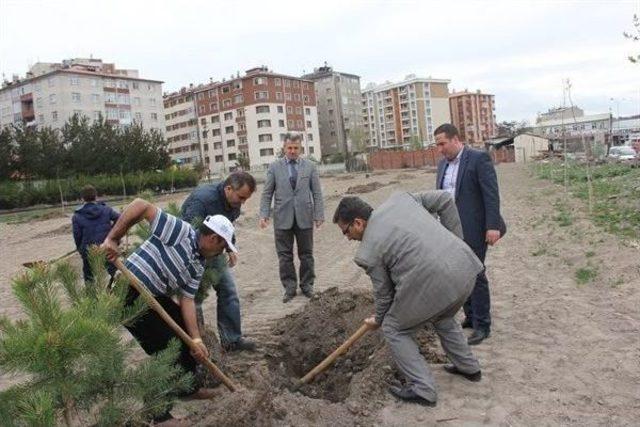 Yeşilyurt Seferber Oldu