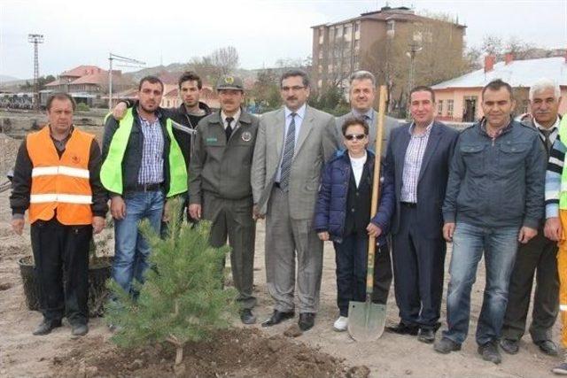 Yeşilyurt Seferber Oldu