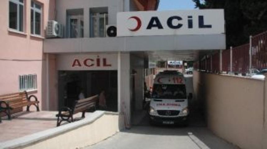 Motosiklet Yola &Ccedil;ıkan Domuza &Ccedil;arptı: 1 Yaralı