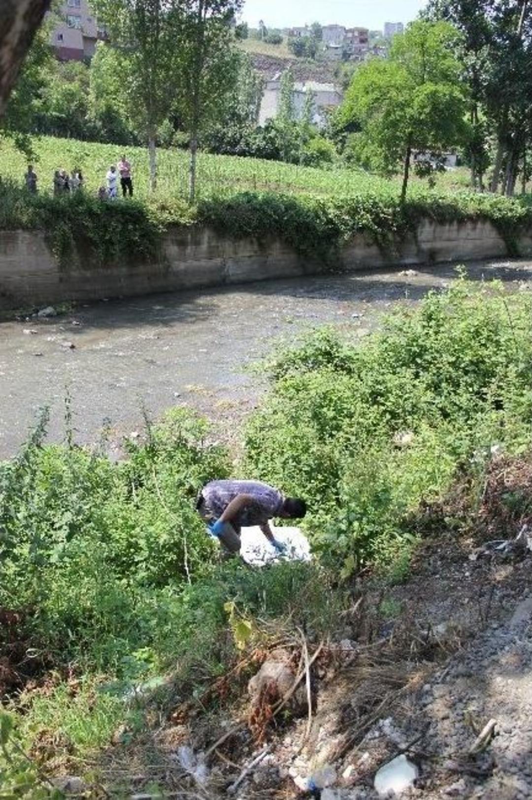 Dereye İnerken D&uuml;şen Yaşlı Kadın &Ouml;ld&uuml;