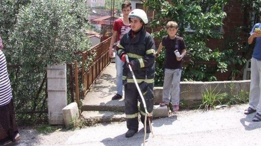 Apartmanda Yılan Paniği